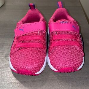 ⛔️SOLD⛔️ Baby Pumas!